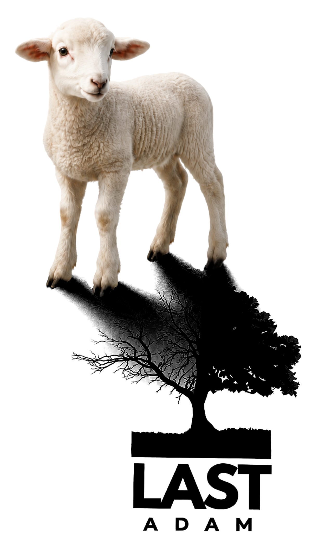 The Lamb