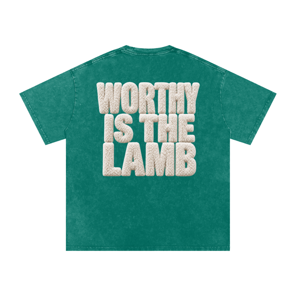 The Lamb Snow Washed Oversized Cotton T-Shirt