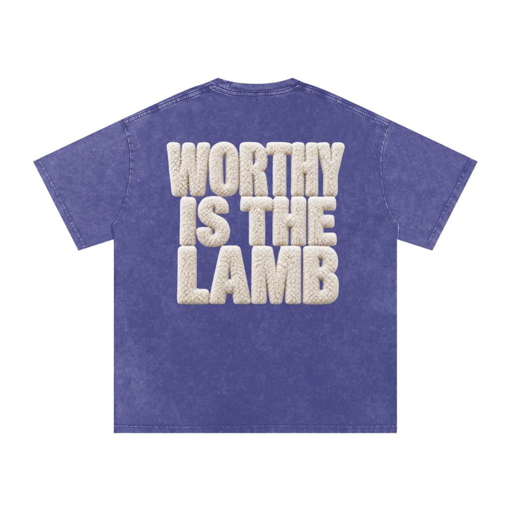 The Lamb Snow Washed Oversized Cotton T-Shirt
