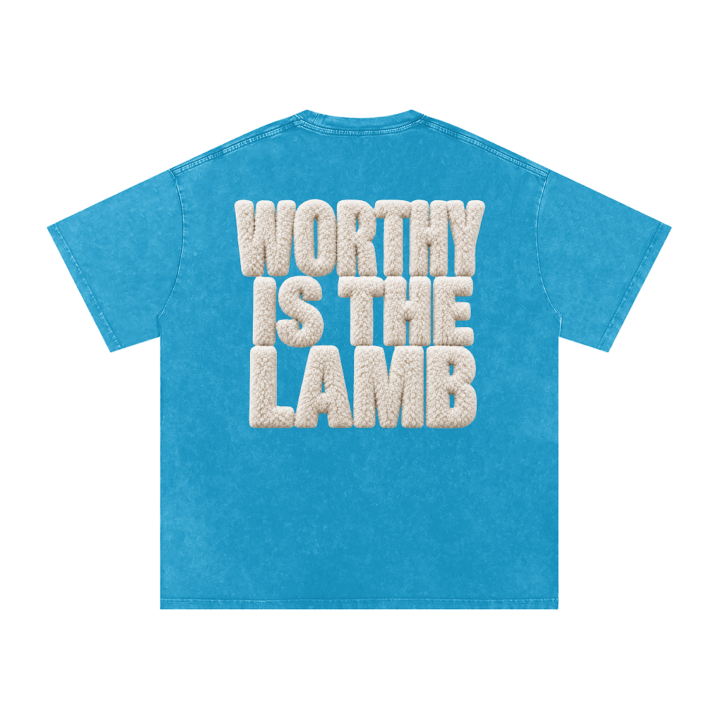 The Lamb Snow Washed Oversized Cotton T-Shirt