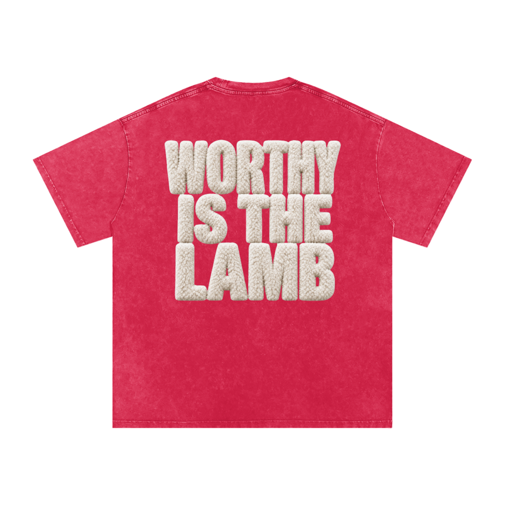 The Lamb Snow Washed Oversized Cotton T-Shirt