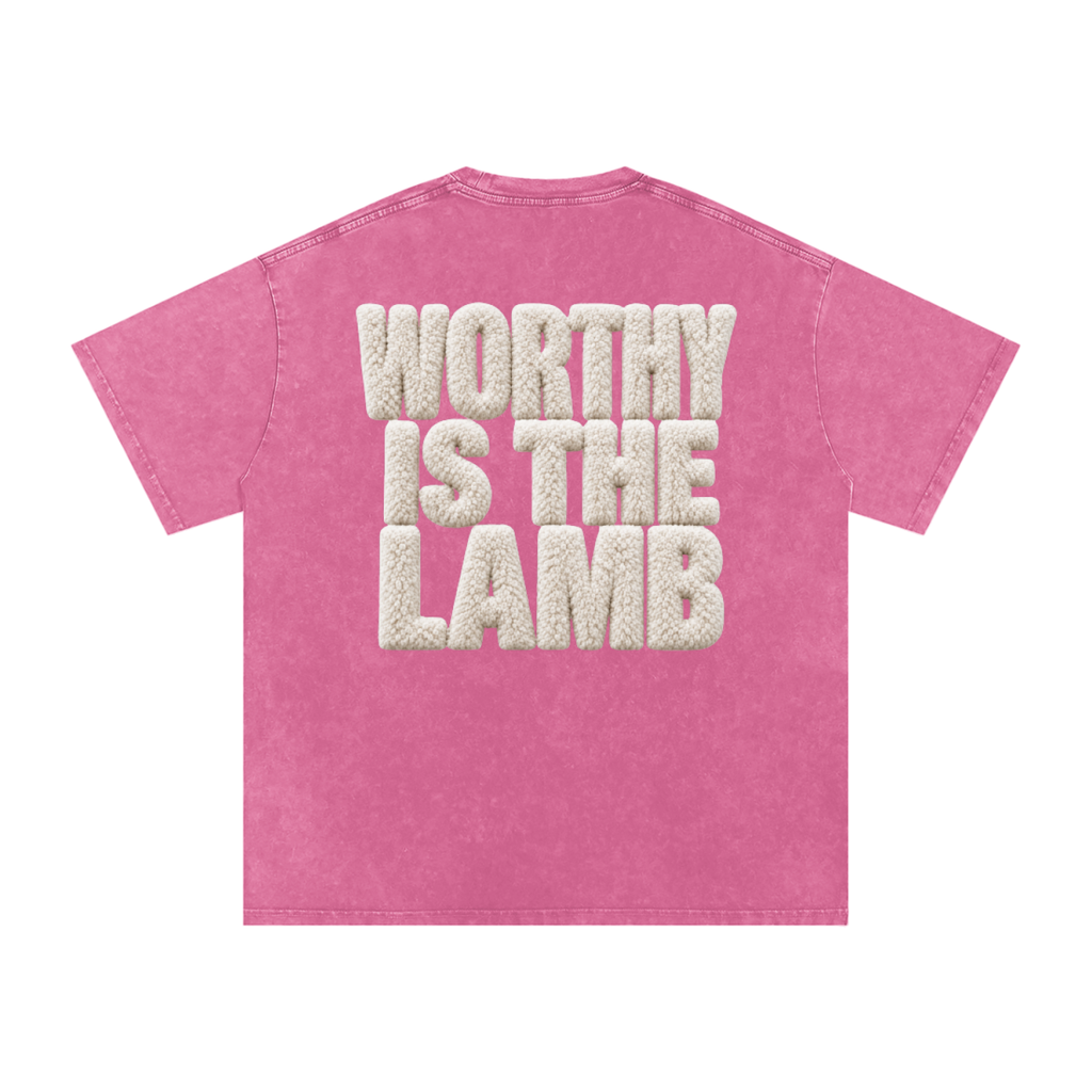 The Lamb Snow Washed Oversized Cotton T-Shirt