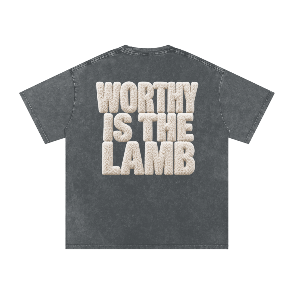 The Lamb Snow Washed Oversized Cotton T-Shirt