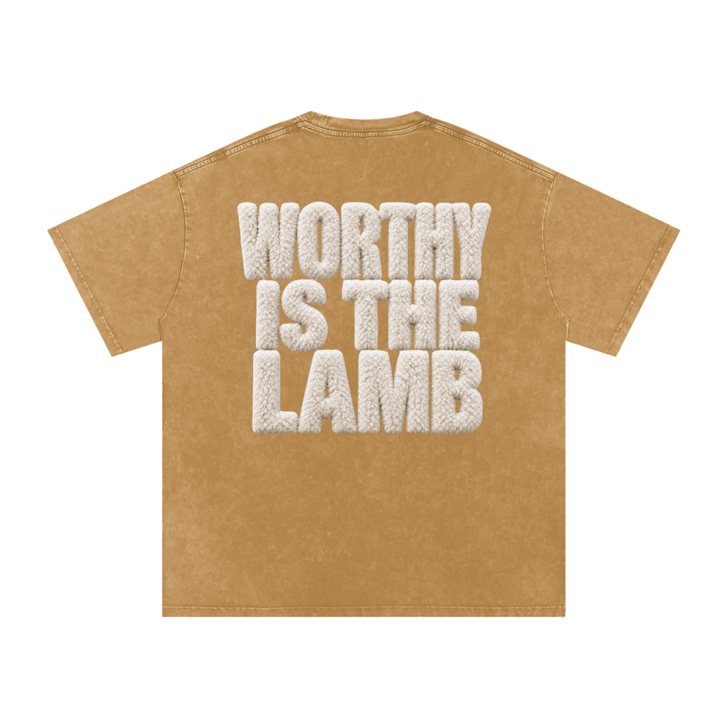 The Lamb Snow Washed Oversized Cotton T-Shirt