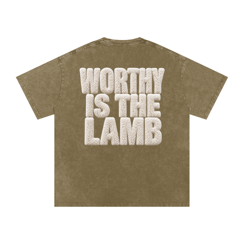 The Lamb Snow Washed Oversized Cotton T-Shirt