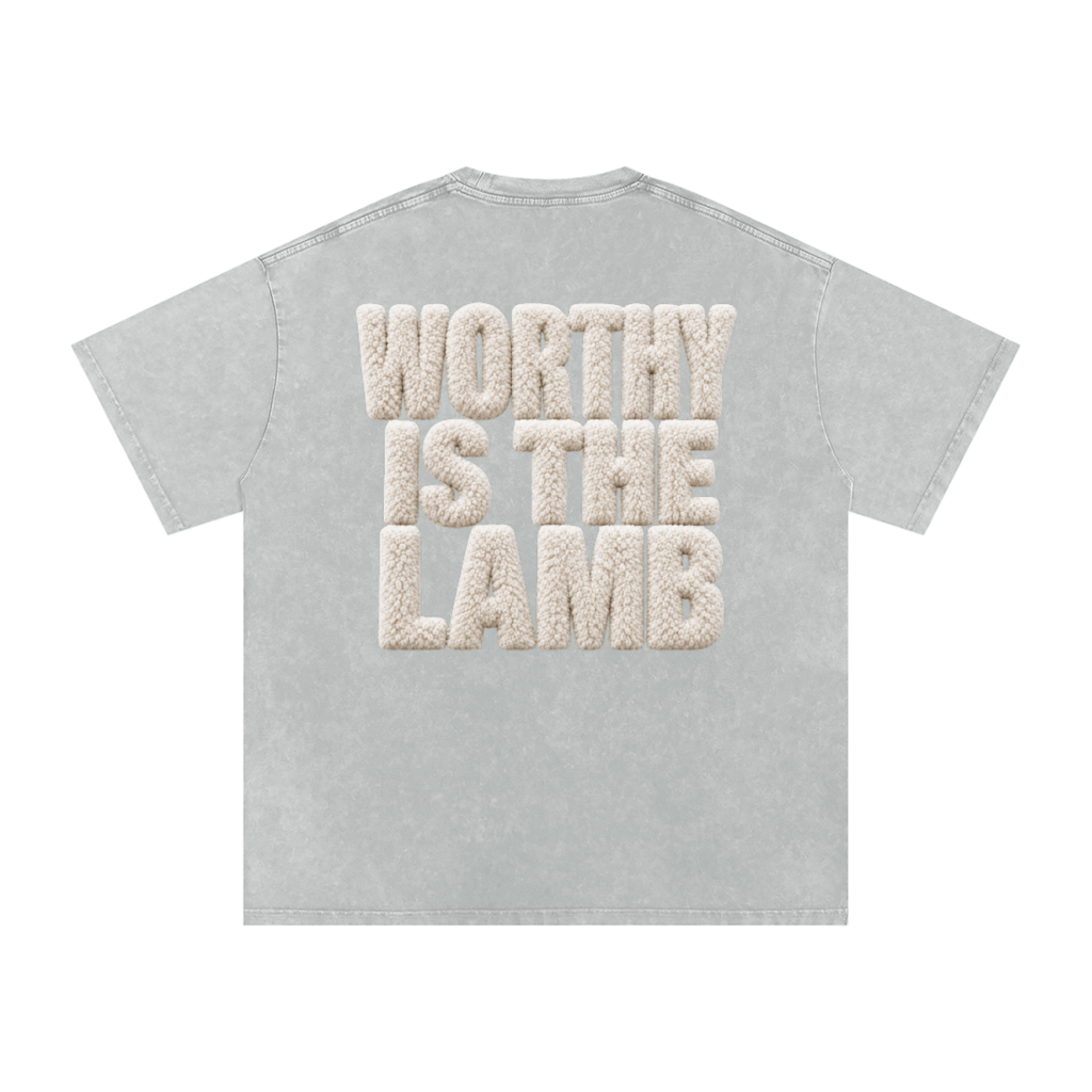 The Lamb Snow Washed Oversized Cotton T-Shirt