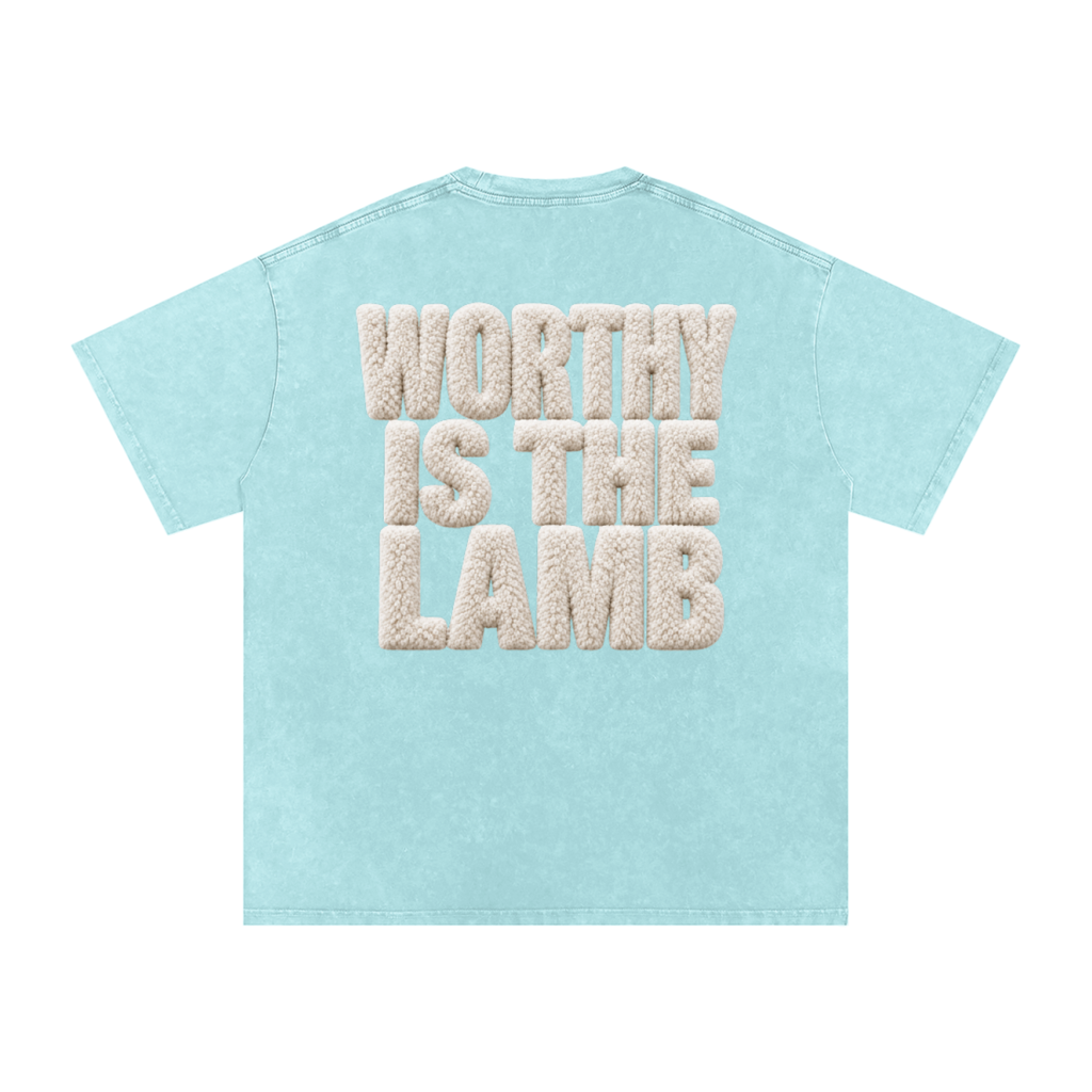 The Lamb Snow Washed Oversized Cotton T-Shirt