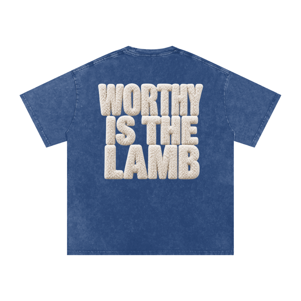 The Lamb Snow Washed Oversized Cotton T-Shirt