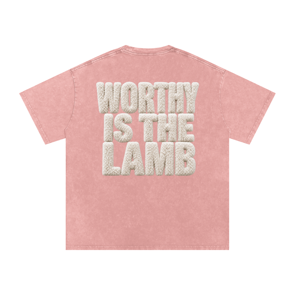 The Lamb Snow Washed Oversized Cotton T-Shirt