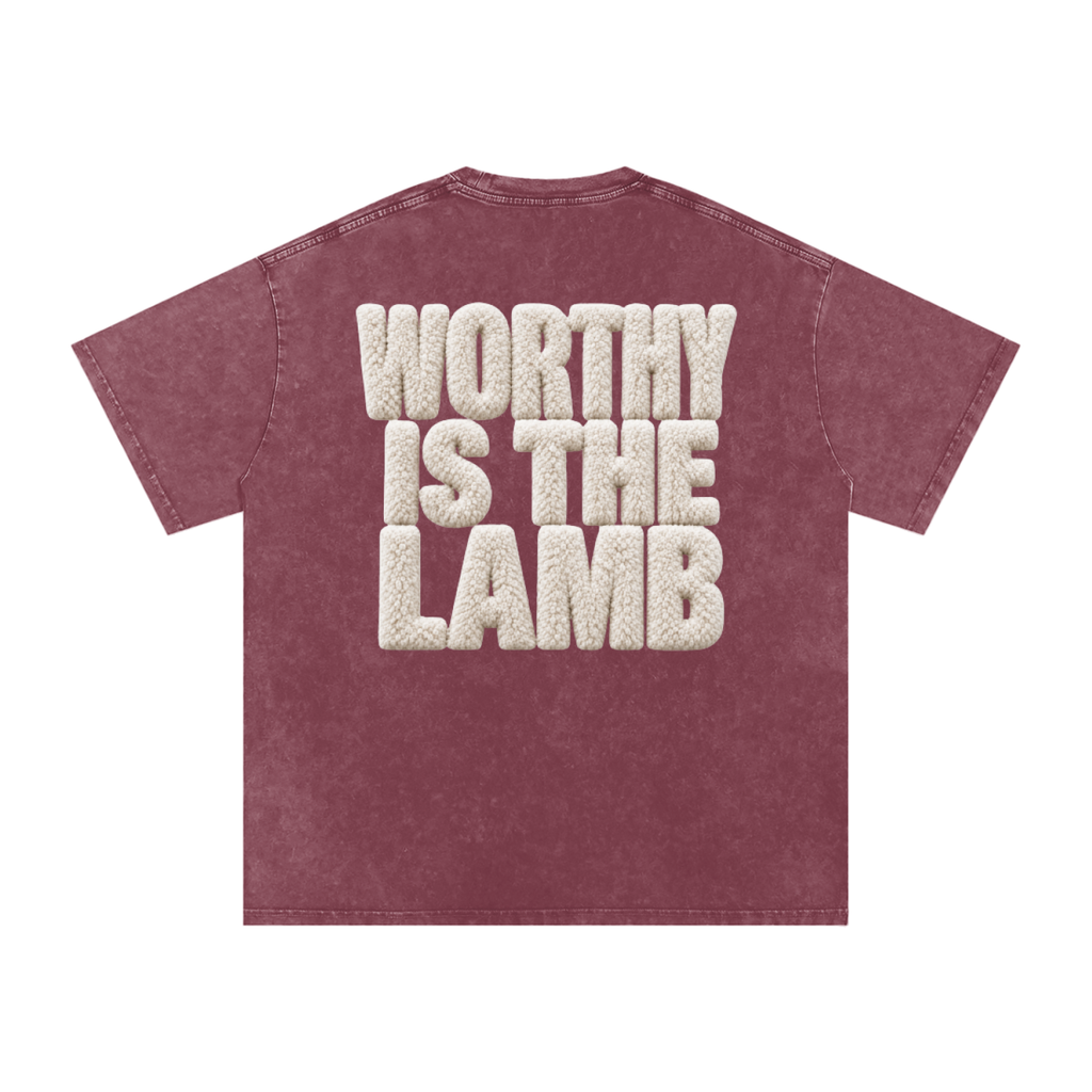 The Lamb Snow Washed Oversized Cotton T-Shirt